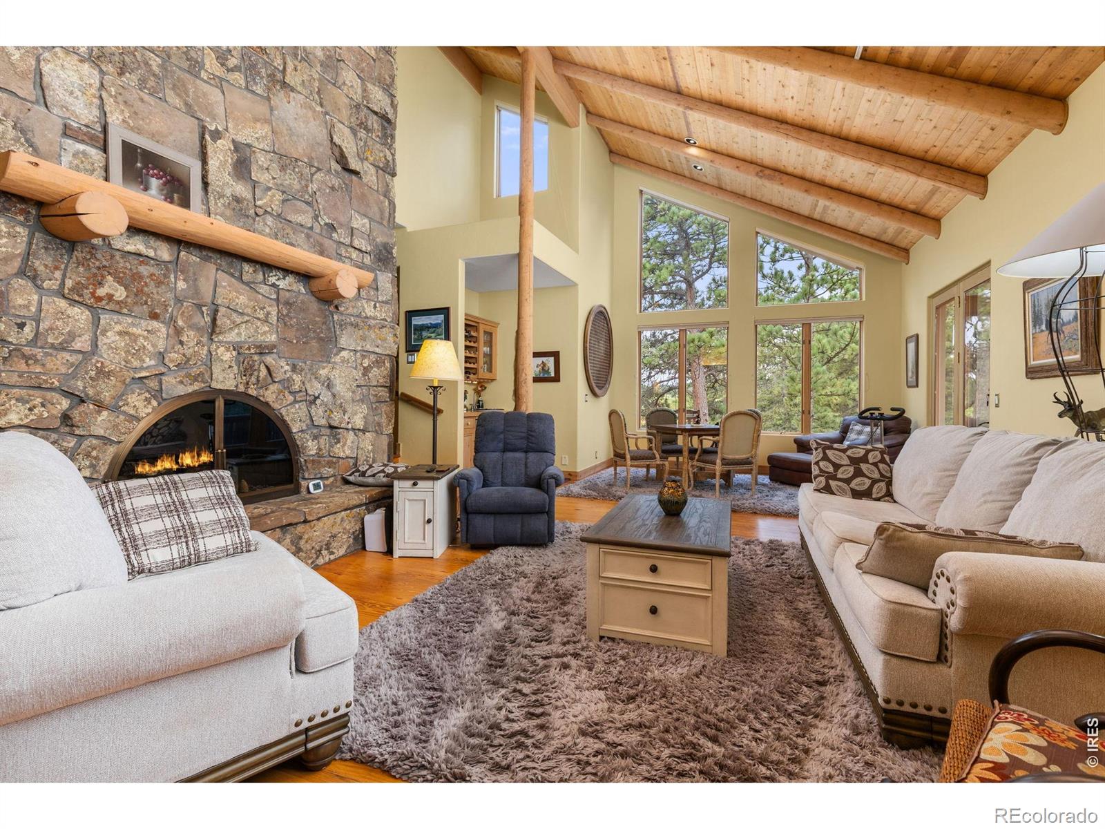 MLS Image #7 for 2611  fox acres drive,red feather lakes, Colorado