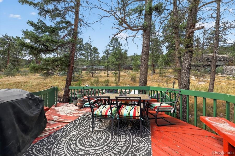 MLS Image #23 for 27231  log trail,conifer, Colorado