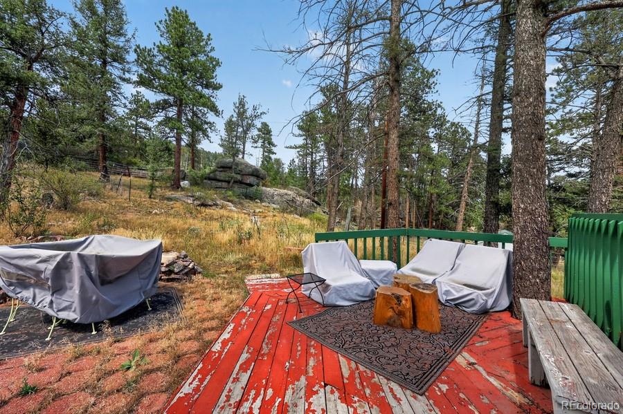 MLS Image #24 for 27231  log trail,conifer, Colorado