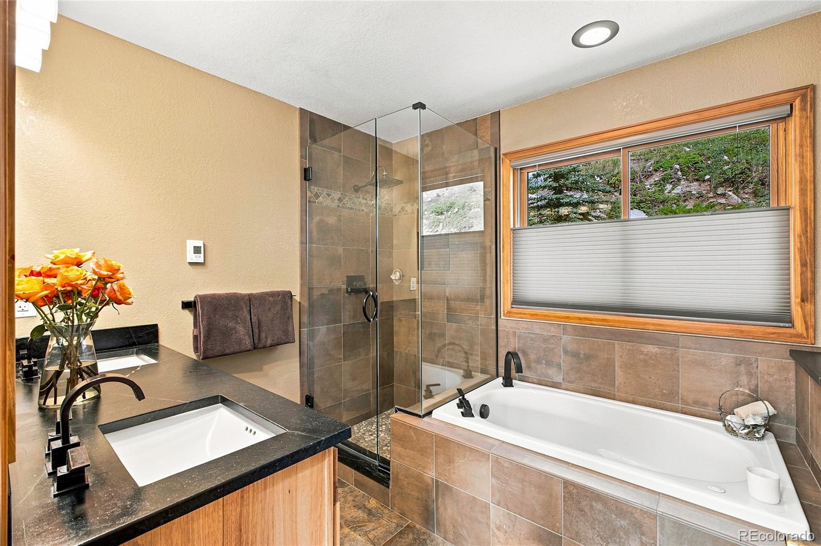 MLS Image #11 for 160  meadowlark drive,evergreen, Colorado