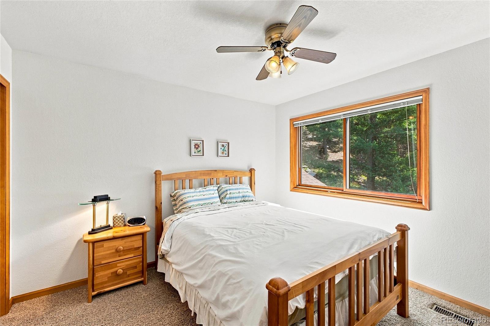 MLS Image #14 for 160  meadowlark drive,evergreen, Colorado