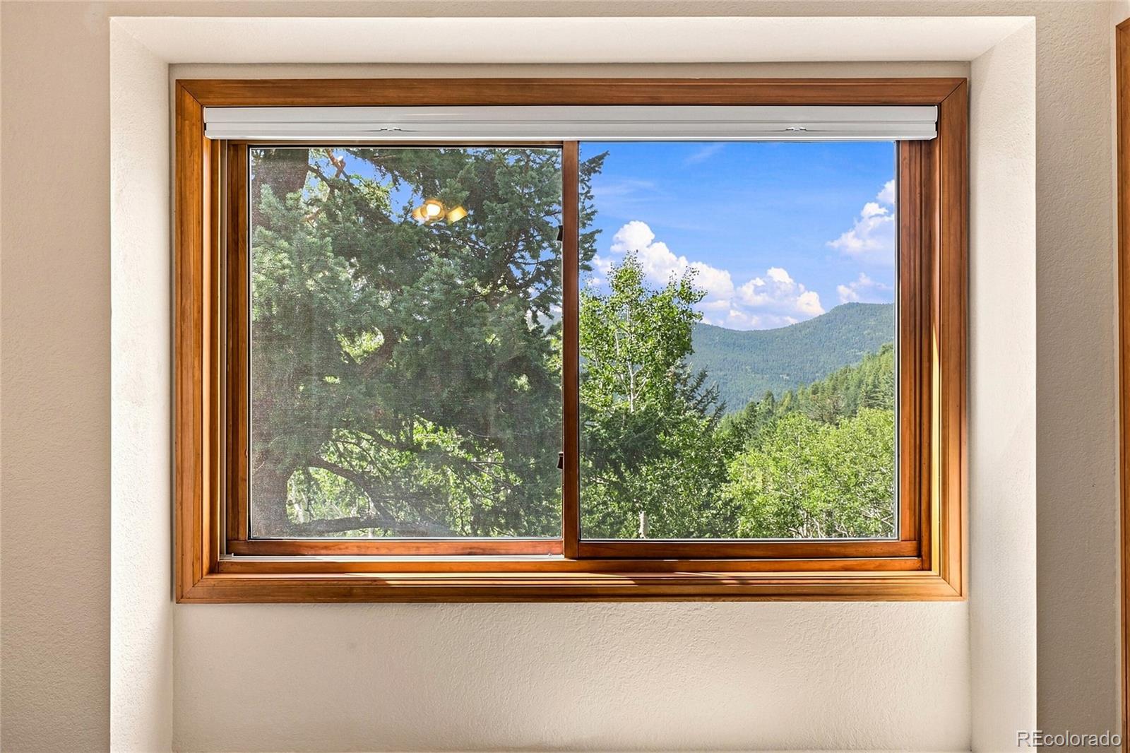 MLS Image #16 for 160  meadowlark drive,evergreen, Colorado