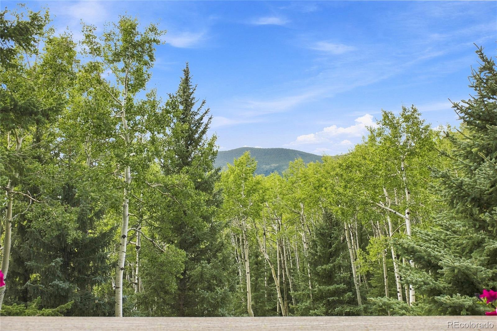 MLS Image #28 for 160  meadowlark drive,evergreen, Colorado