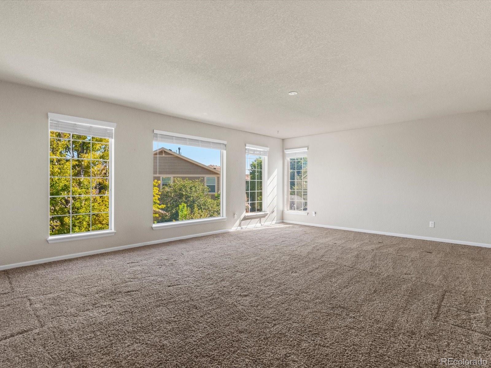 MLS Image #19 for 11602  maize court,parker, Colorado