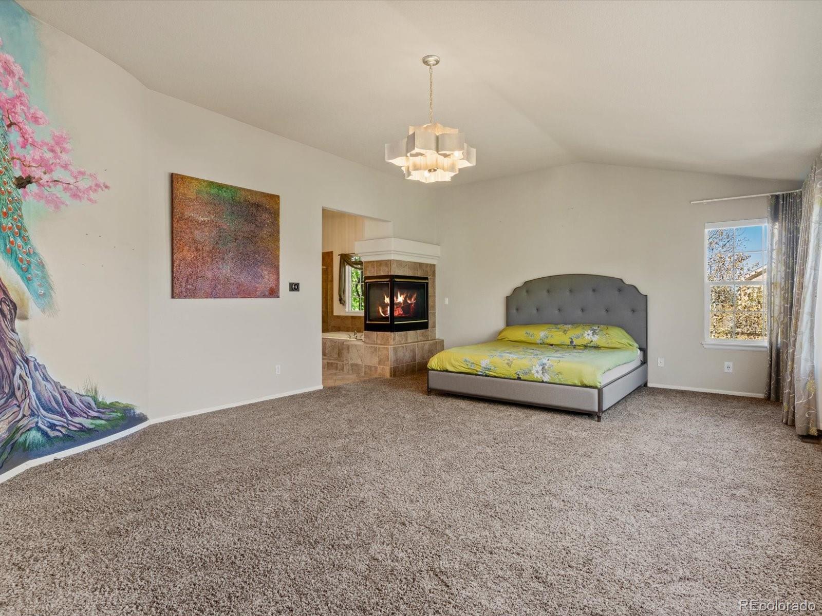 MLS Image #20 for 11602  maize court,parker, Colorado