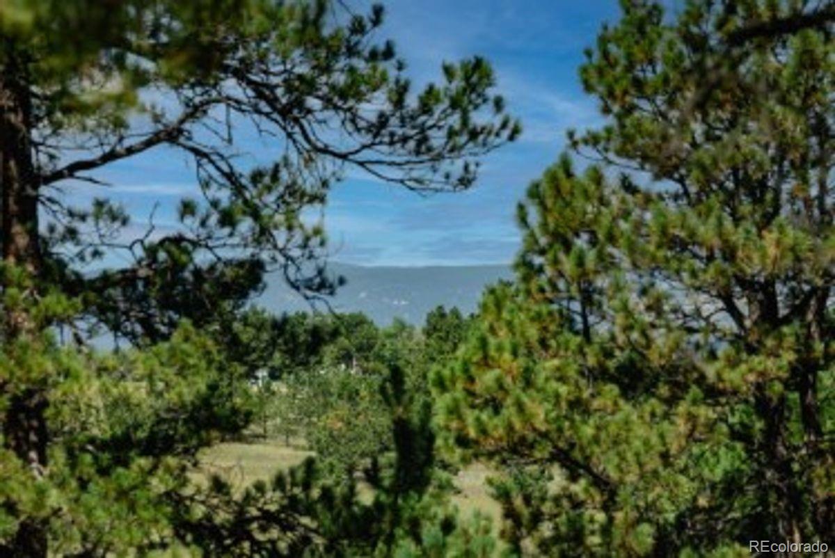 MLS Image #3 for 4125  walker vista heights,colorado springs, Colorado