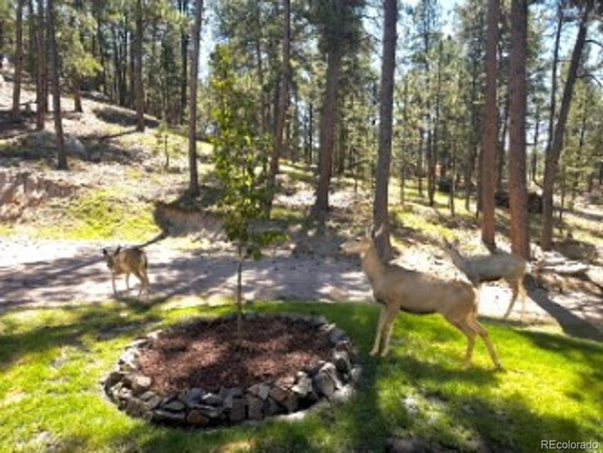 MLS Image #45 for 4125  walker vista heights,colorado springs, Colorado