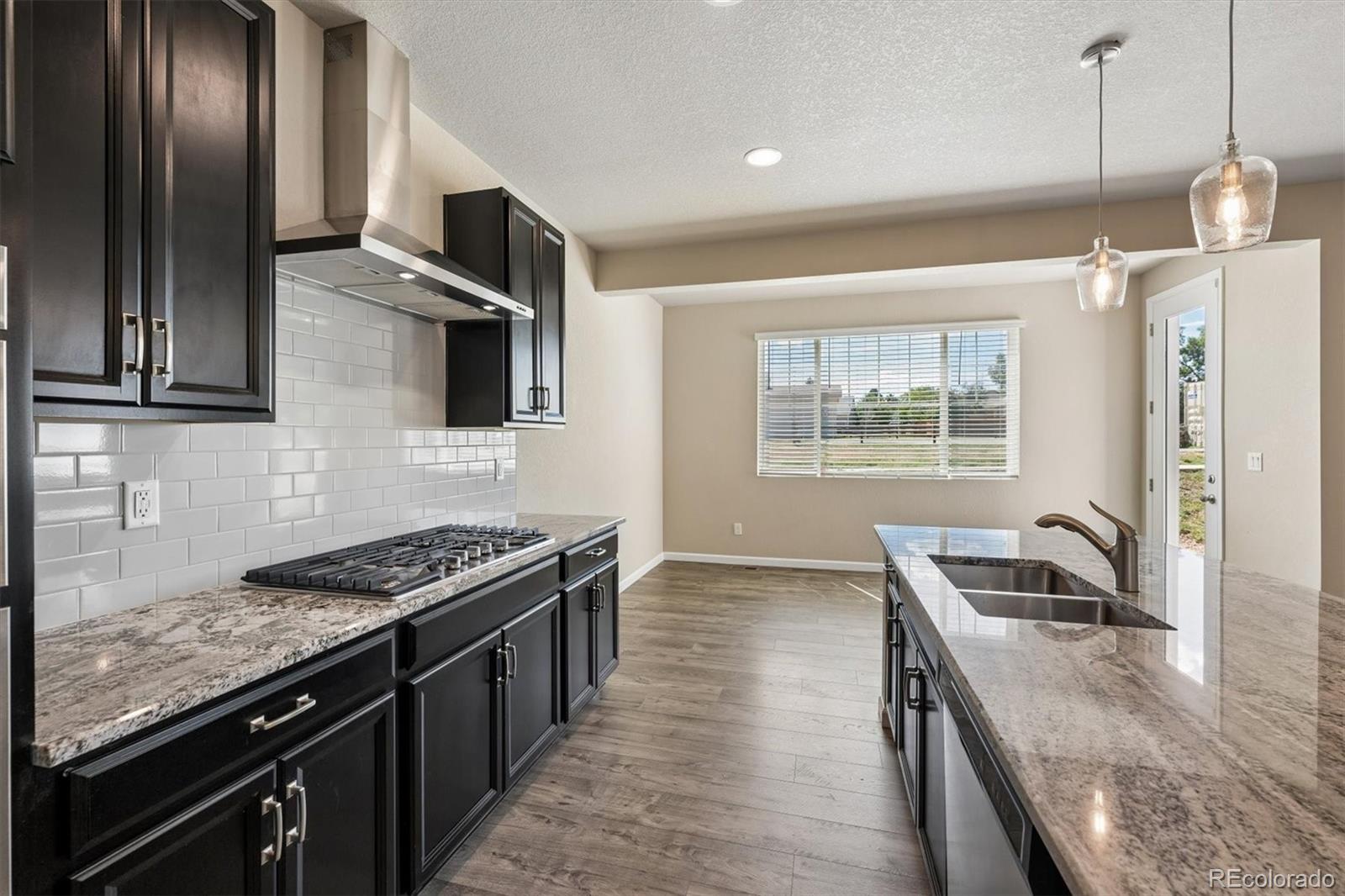 MLS Image #7 for 488  whisper wind lane ,castle rock, Colorado