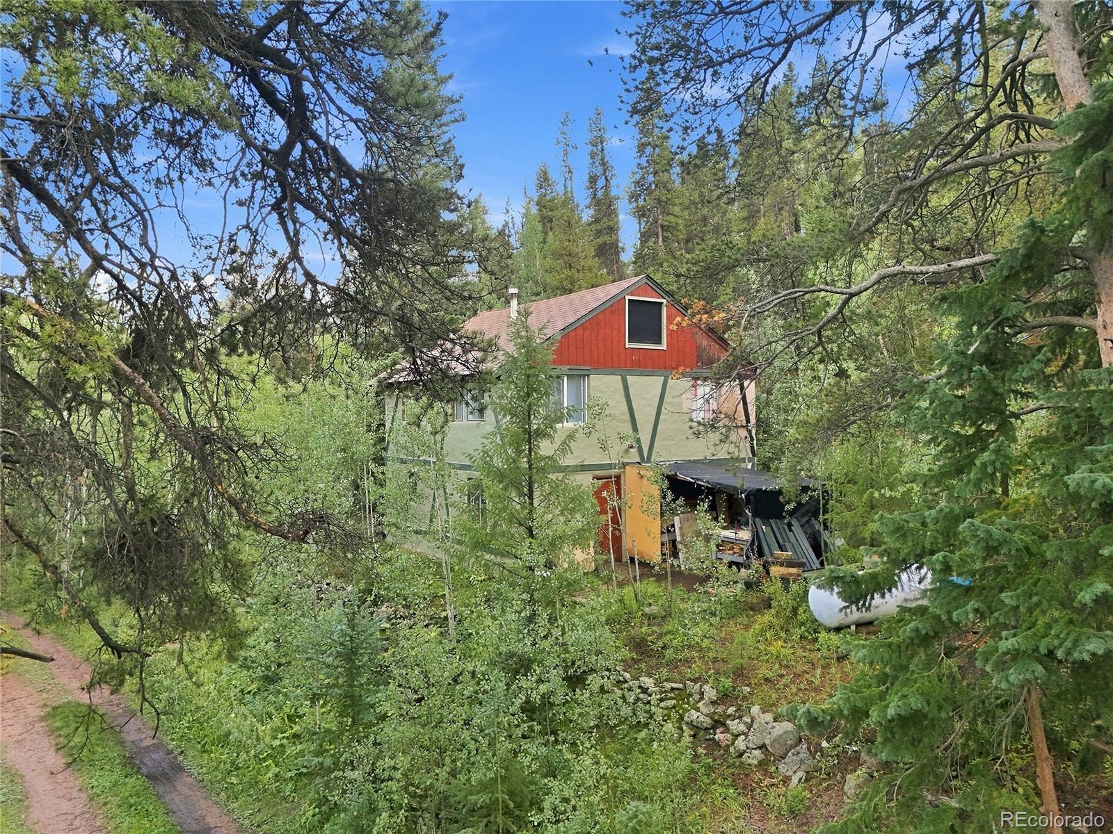 MLS Image #21 for 222  road p60 ,bailey, Colorado