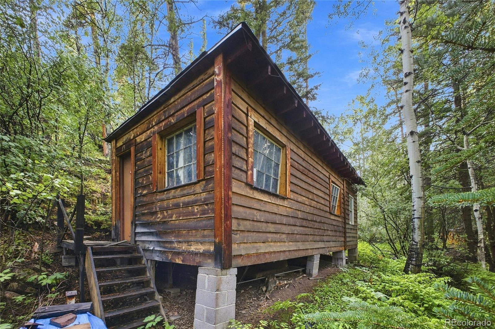 MLS Image #26 for 222  road p60 ,bailey, Colorado