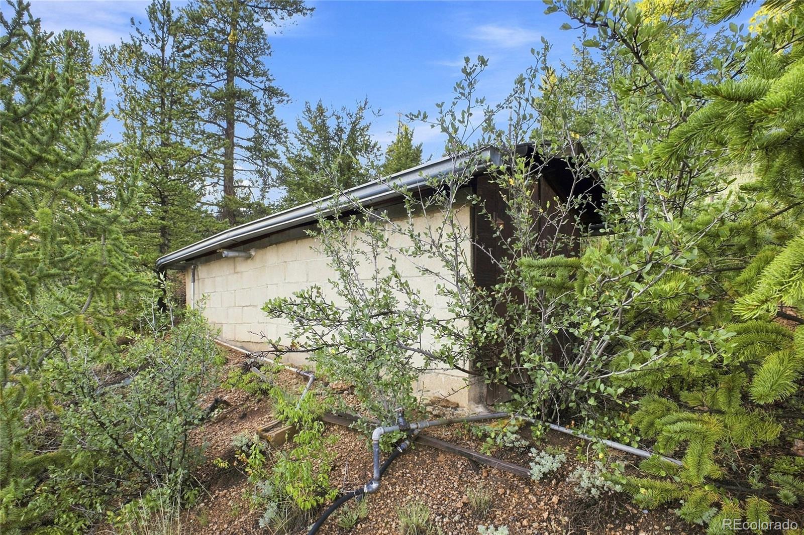 MLS Image #28 for 222  road p60 ,bailey, Colorado