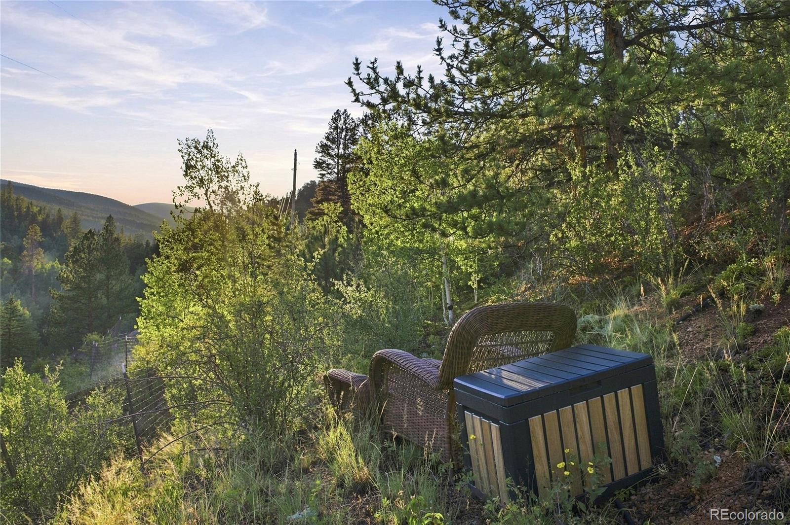 MLS Image #29 for 222  road p60 ,bailey, Colorado