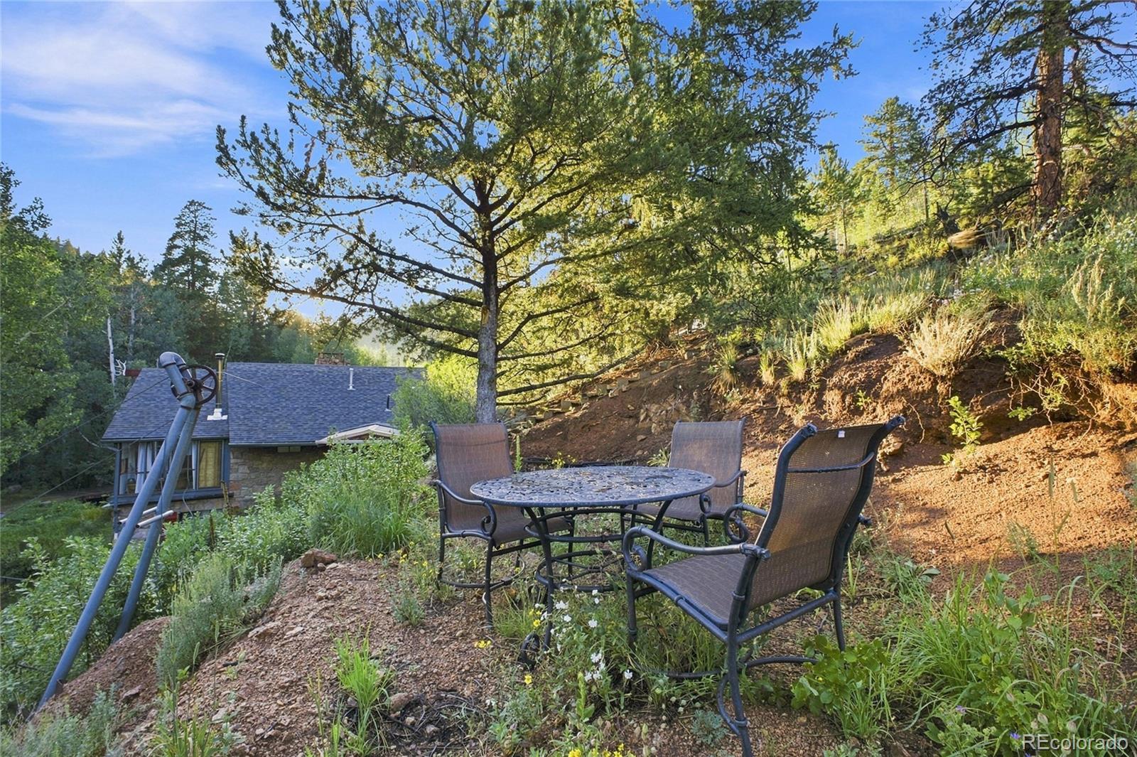 MLS Image #30 for 222  road p60 ,bailey, Colorado
