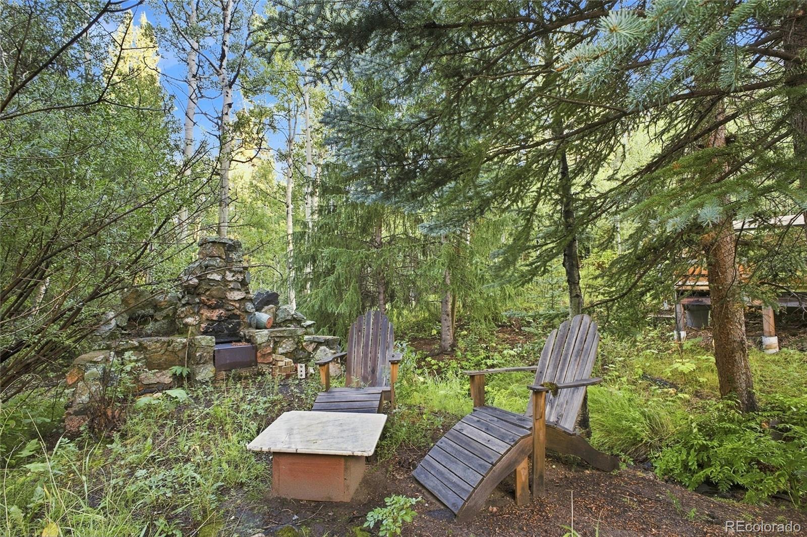 MLS Image #31 for 222  road p60 ,bailey, Colorado