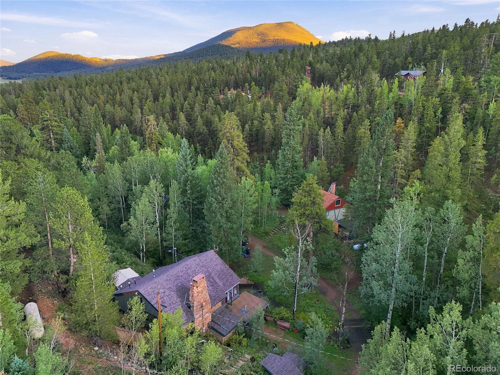 MLS Image #37 for 222  road p60 ,bailey, Colorado