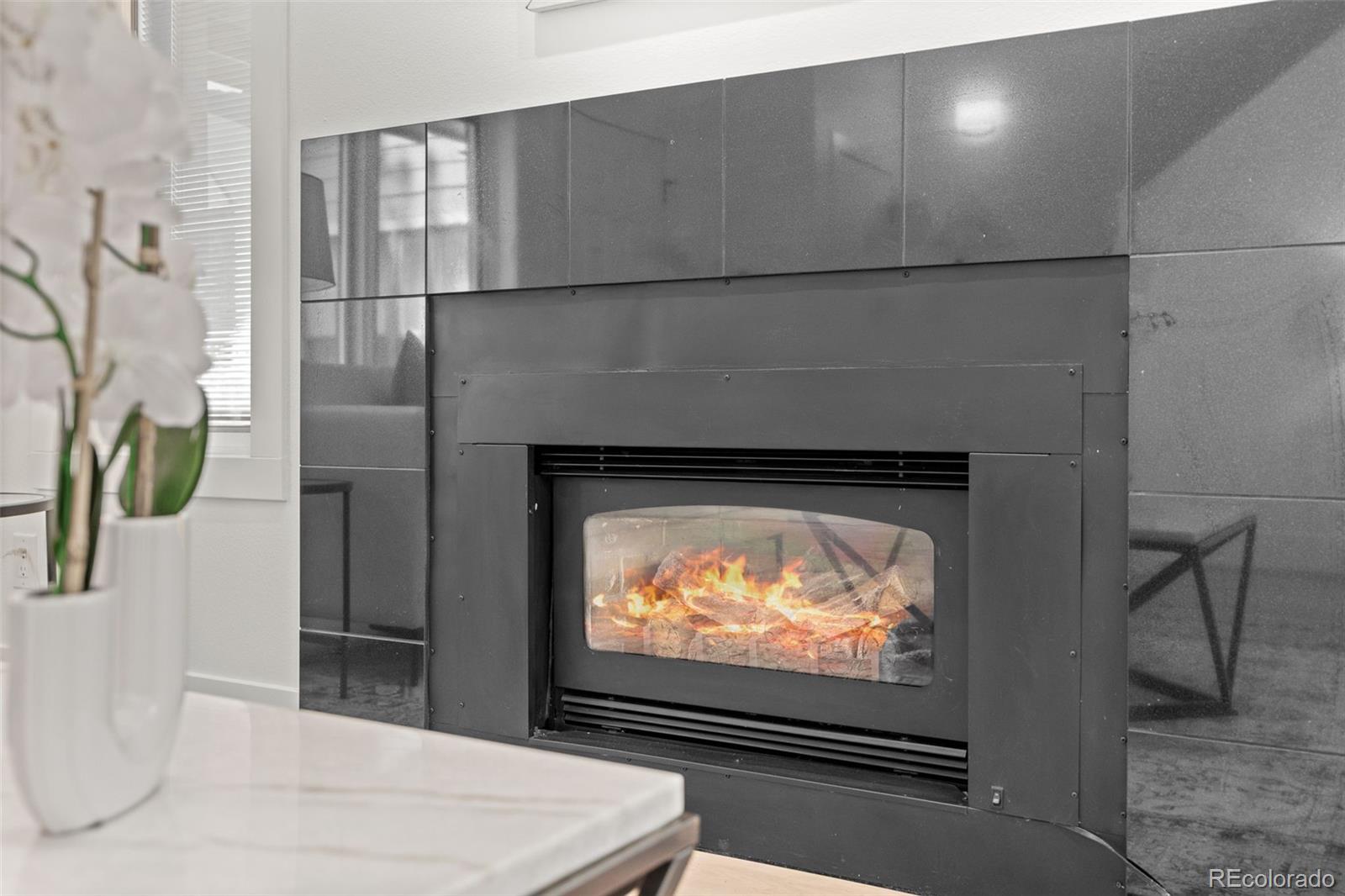 MLS Image #6 for 221 s garfield street,denver, Colorado