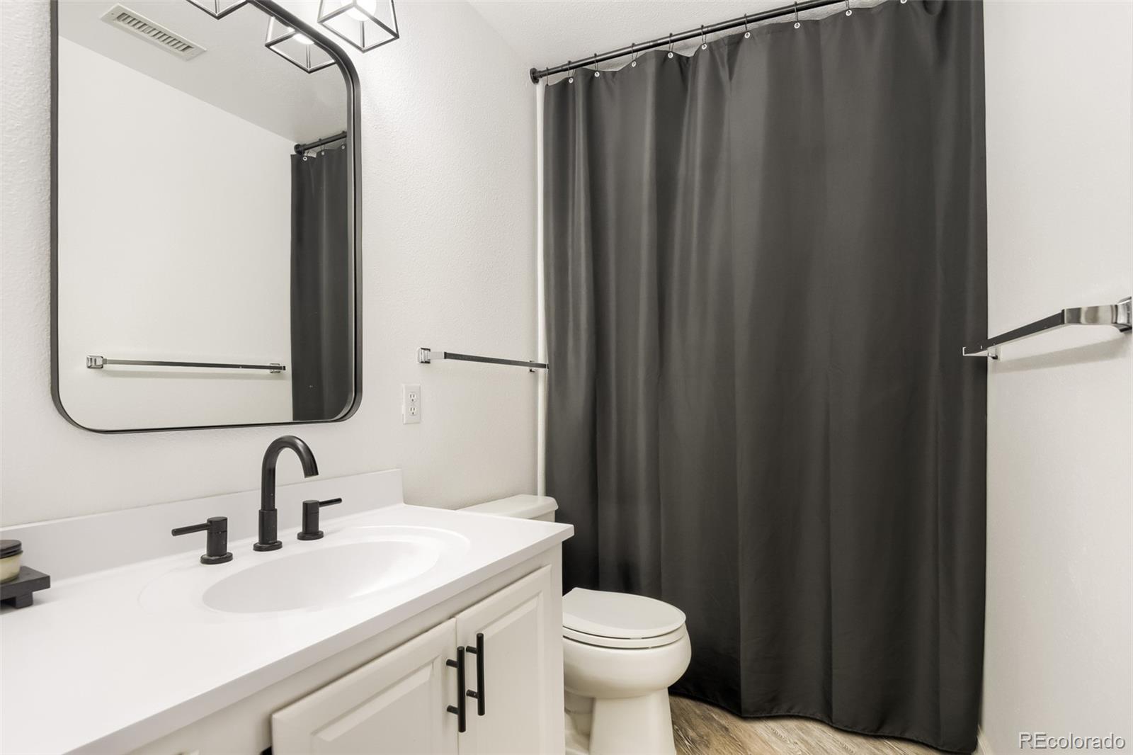 MLS Image #10 for 3727  cactus creek court,highlands ranch, Colorado