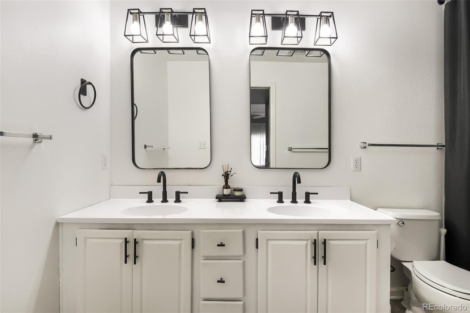 MLS Image #9 for 3727  cactus creek court,highlands ranch, Colorado