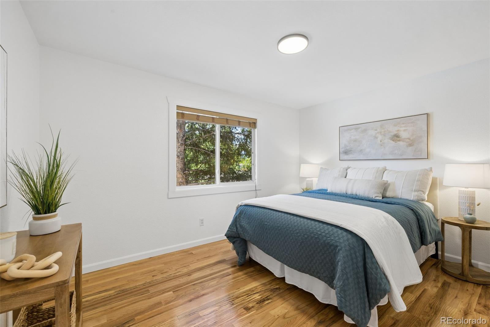 MLS Image #12 for 3704  surrey lane,colorado springs, Colorado