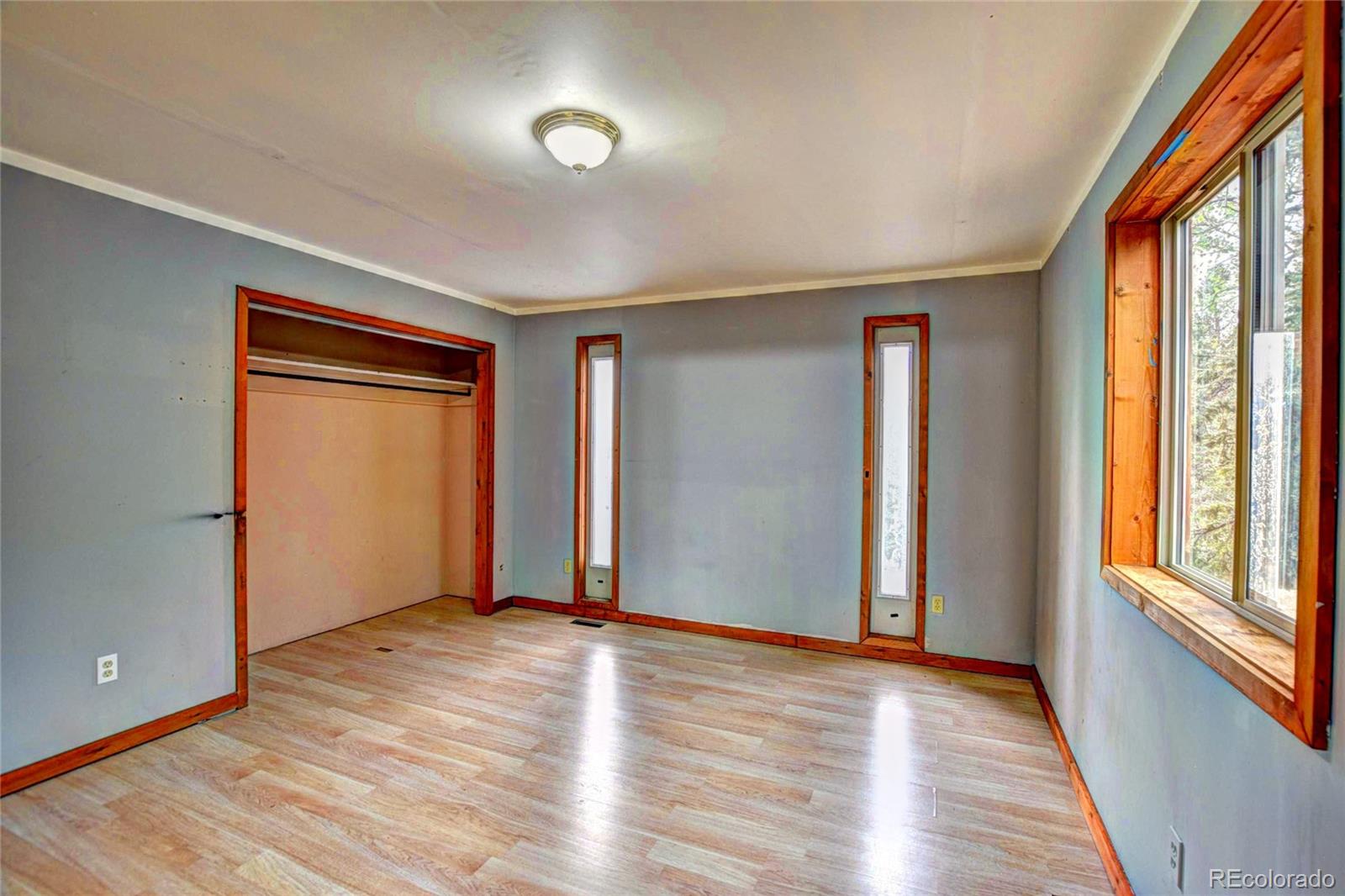 MLS Image #22 for 38  grebe lane,como, Colorado
