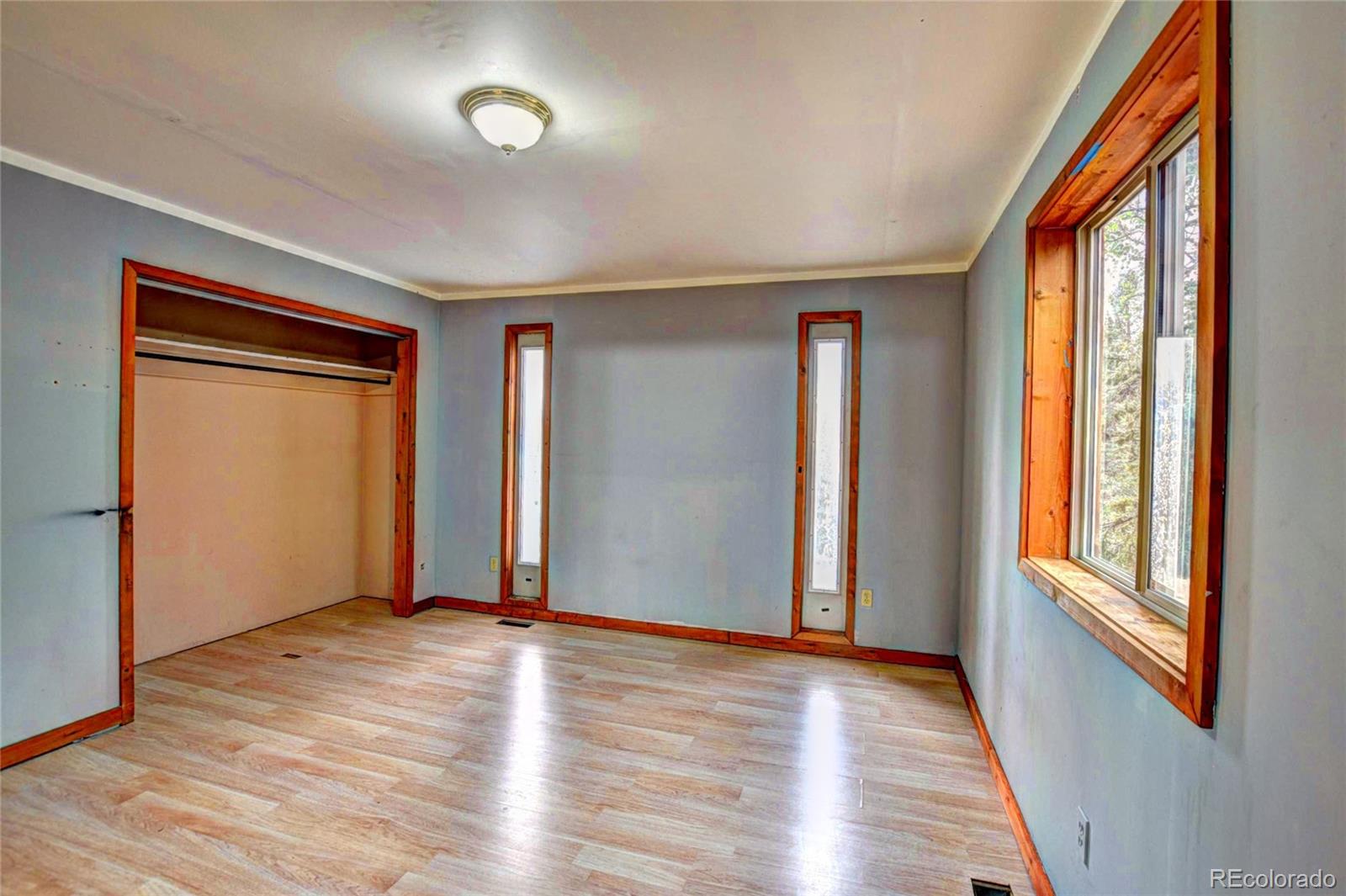 MLS Image #23 for 38  grebe lane,como, Colorado