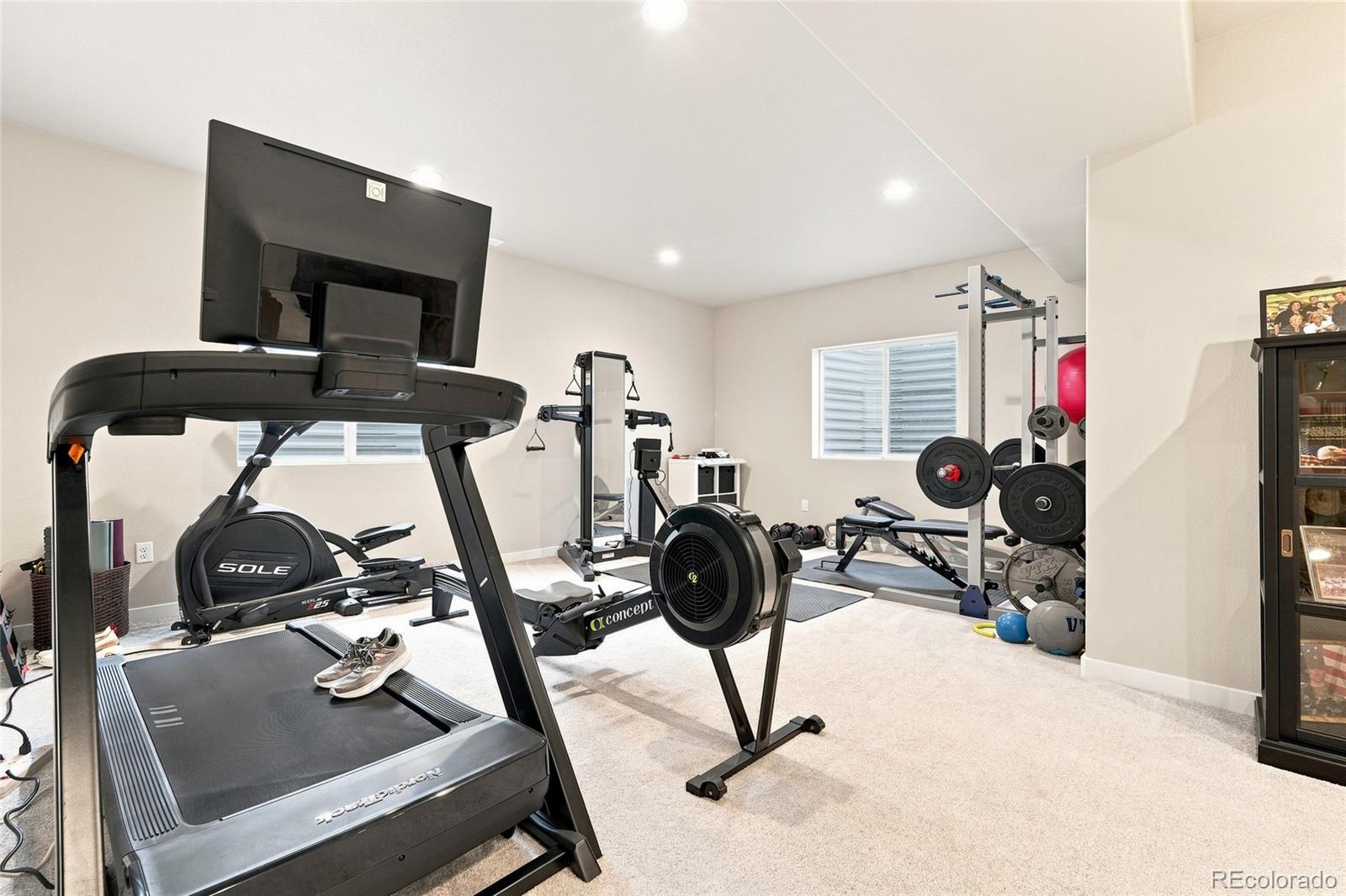 MLS Image #33 for 5425  mesa top drive,monument, Colorado