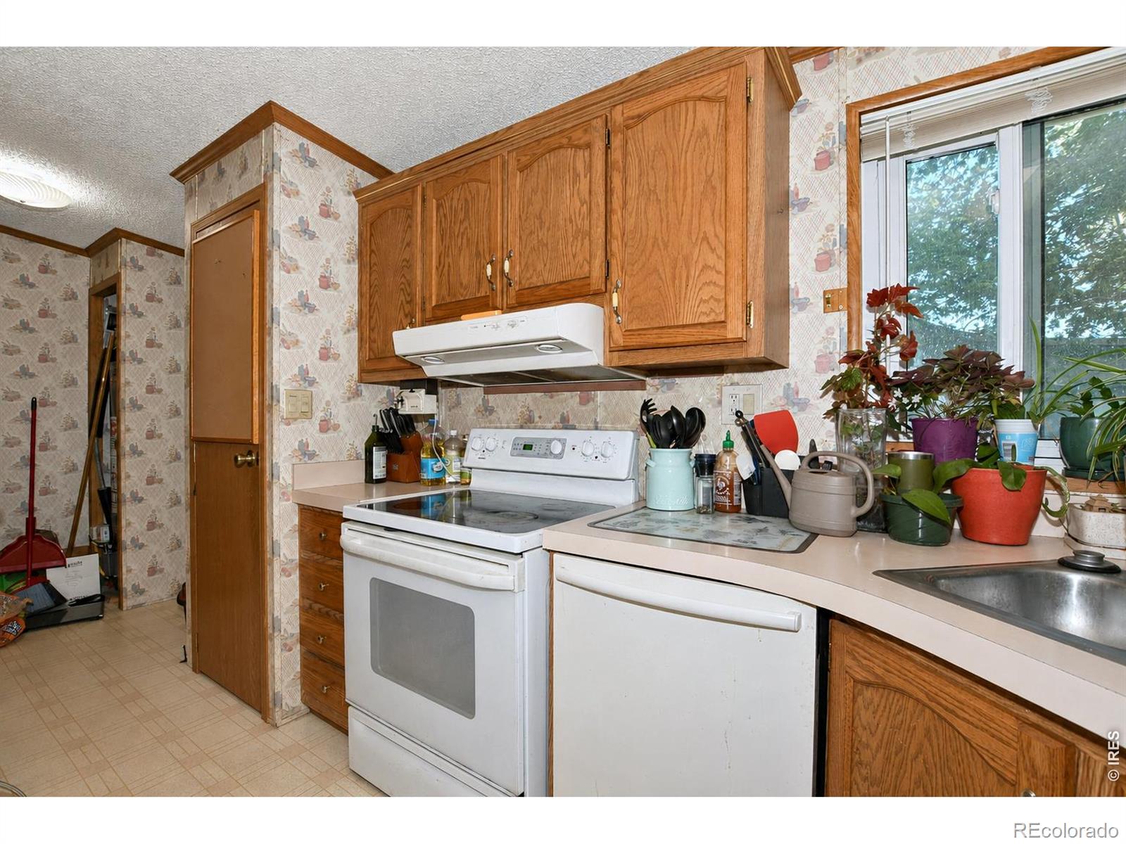 MLS Image #13 for 4006  harrison avenue,wellington, Colorado