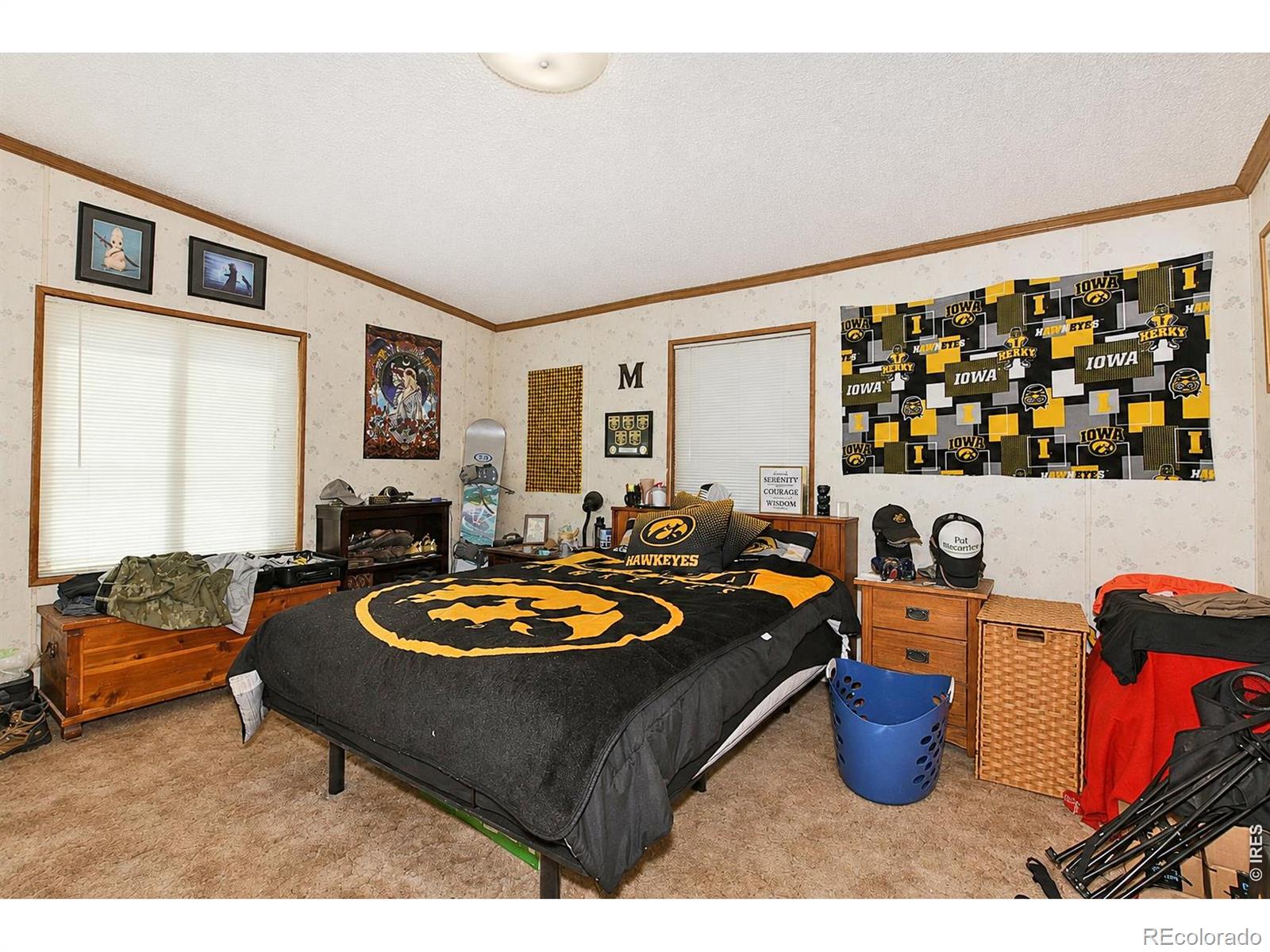 MLS Image #22 for 4006  harrison avenue,wellington, Colorado
