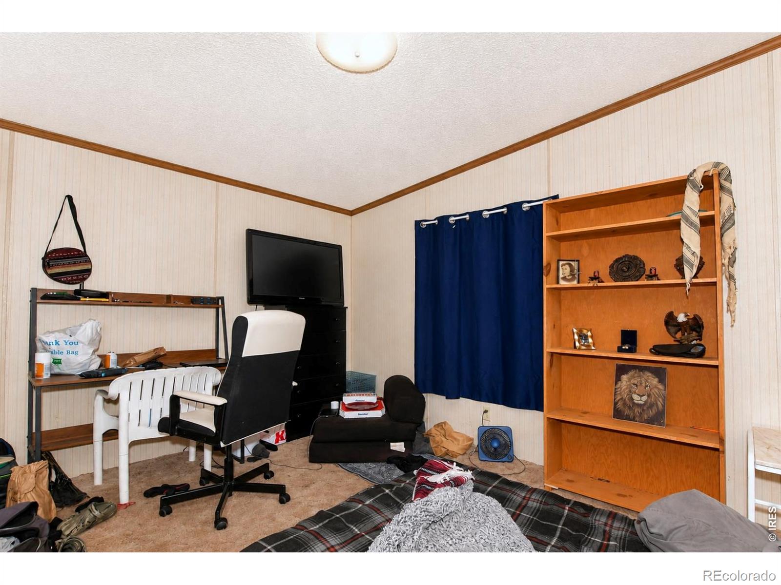 MLS Image #23 for 4006  harrison avenue,wellington, Colorado