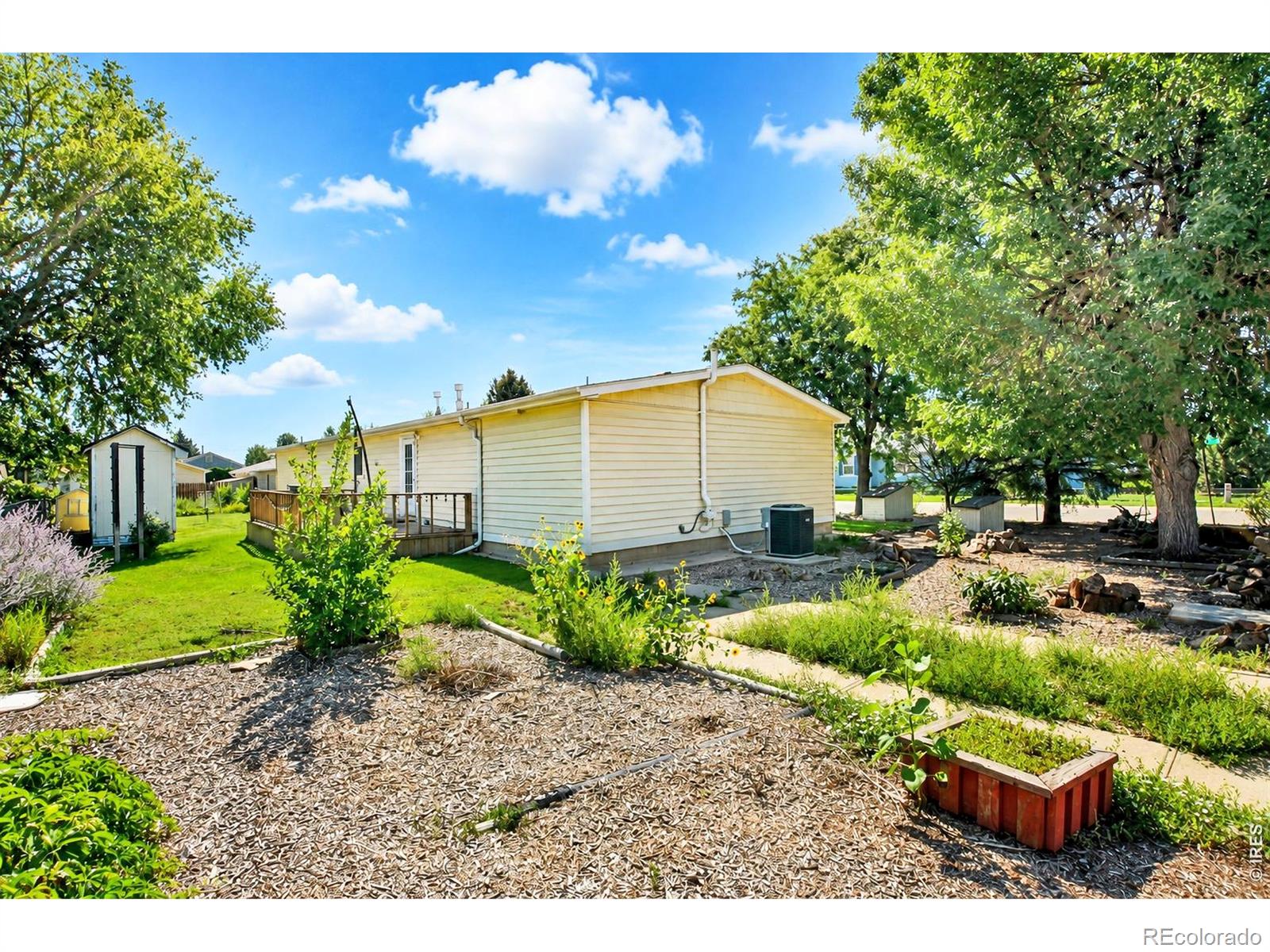 MLS Image #33 for 4006  harrison avenue,wellington, Colorado