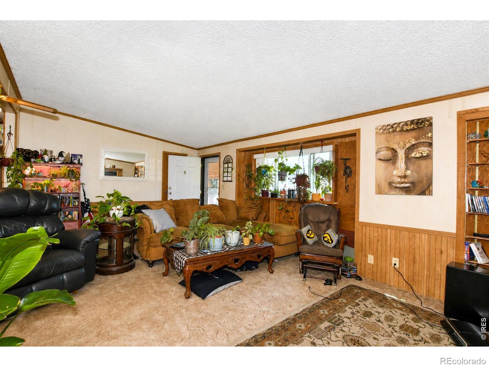 MLS Image #9 for 4006  harrison avenue,wellington, Colorado