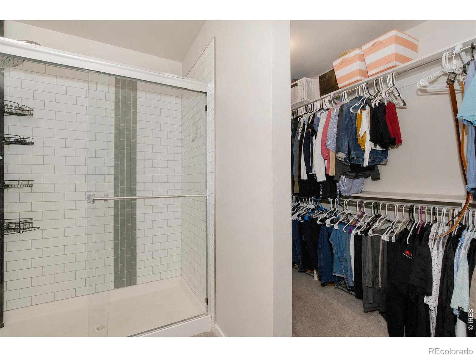 MLS Image #26 for 2720  sykes drive,fort collins, Colorado