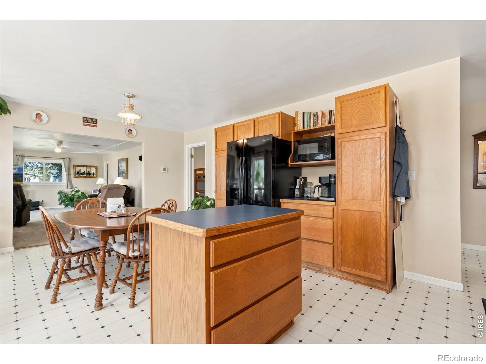 MLS Image #13 for 2918  cherry lane,fort collins, Colorado