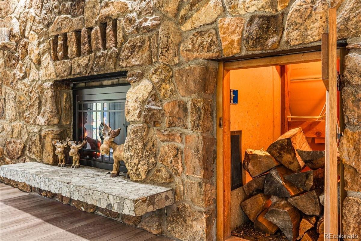 MLS Image #11 for 26955  stagecoach road,conifer, Colorado