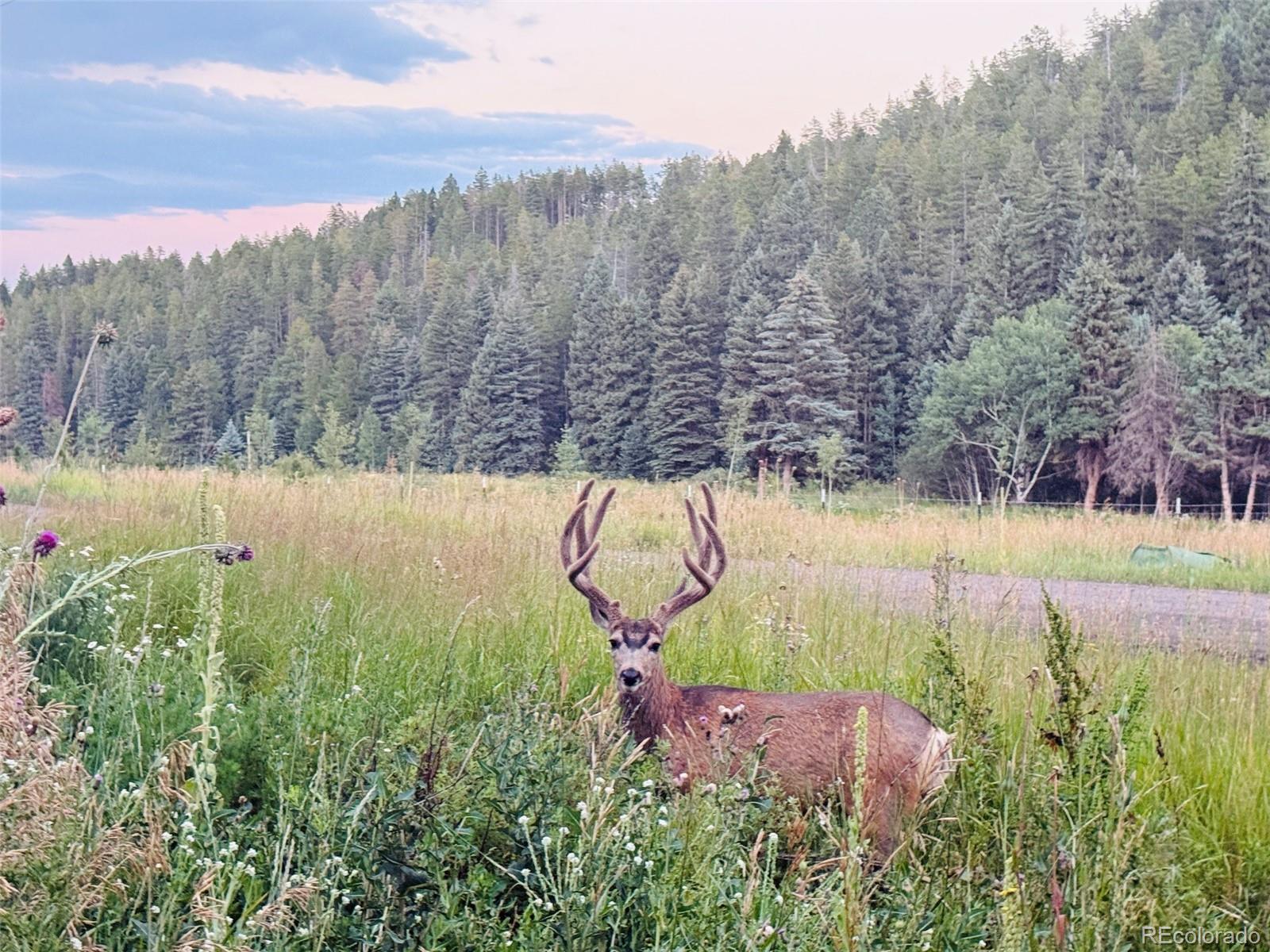 MLS Image #36 for 26955  stagecoach road,conifer, Colorado