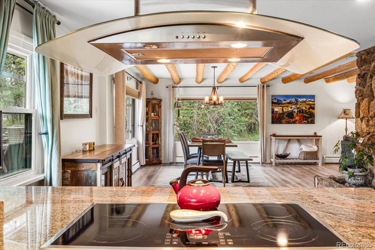 MLS Image #5 for 26955  stagecoach road,conifer, Colorado