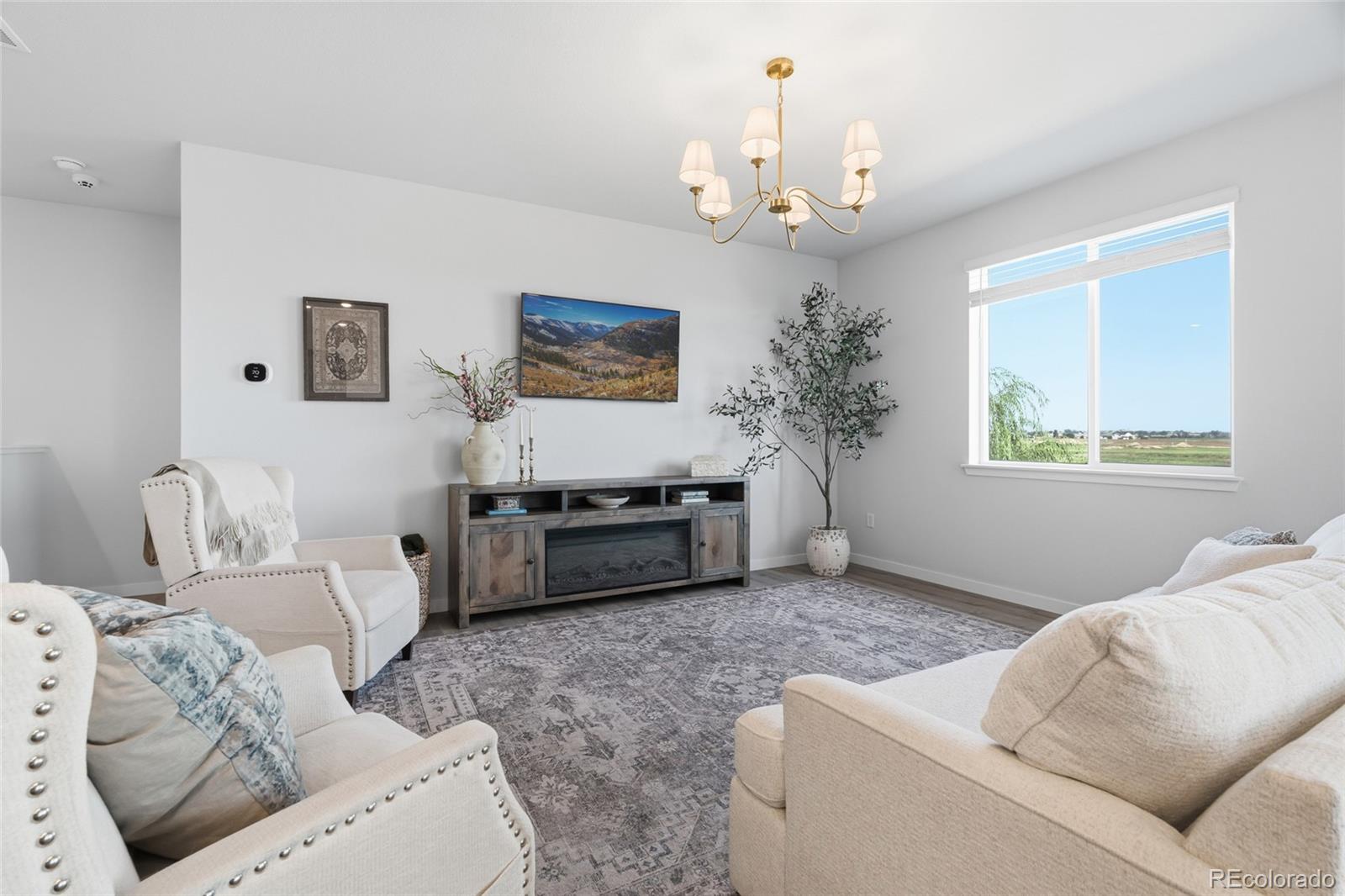MLS Image #14 for 5835  red barn avenue,mead, Colorado