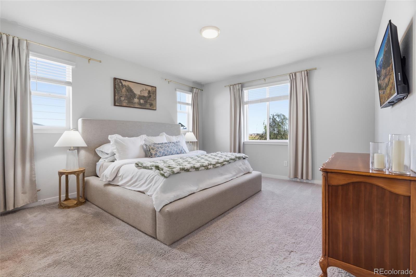 MLS Image #17 for 5835  red barn avenue,mead, Colorado