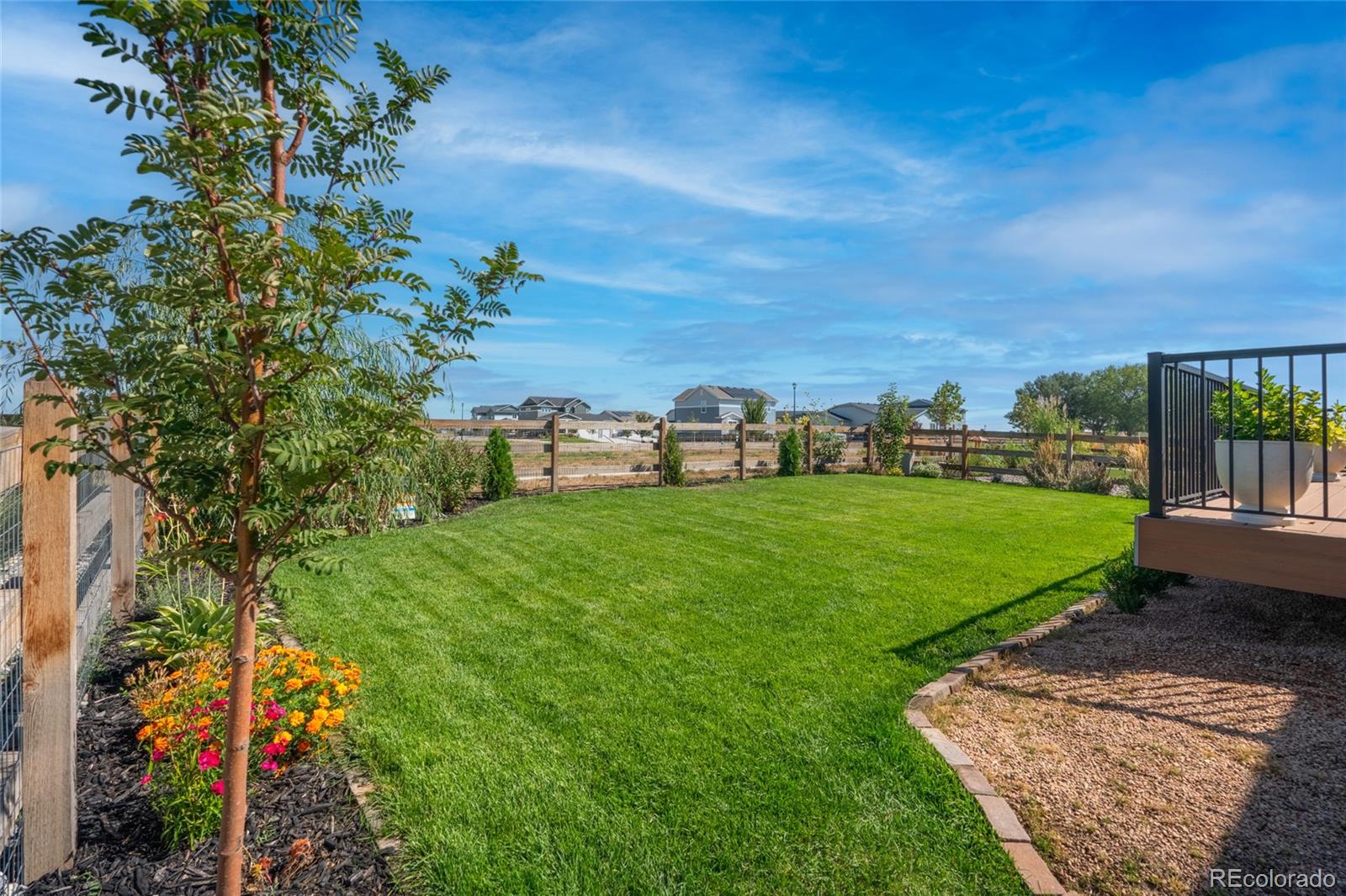 MLS Image #24 for 5835  red barn avenue,mead, Colorado