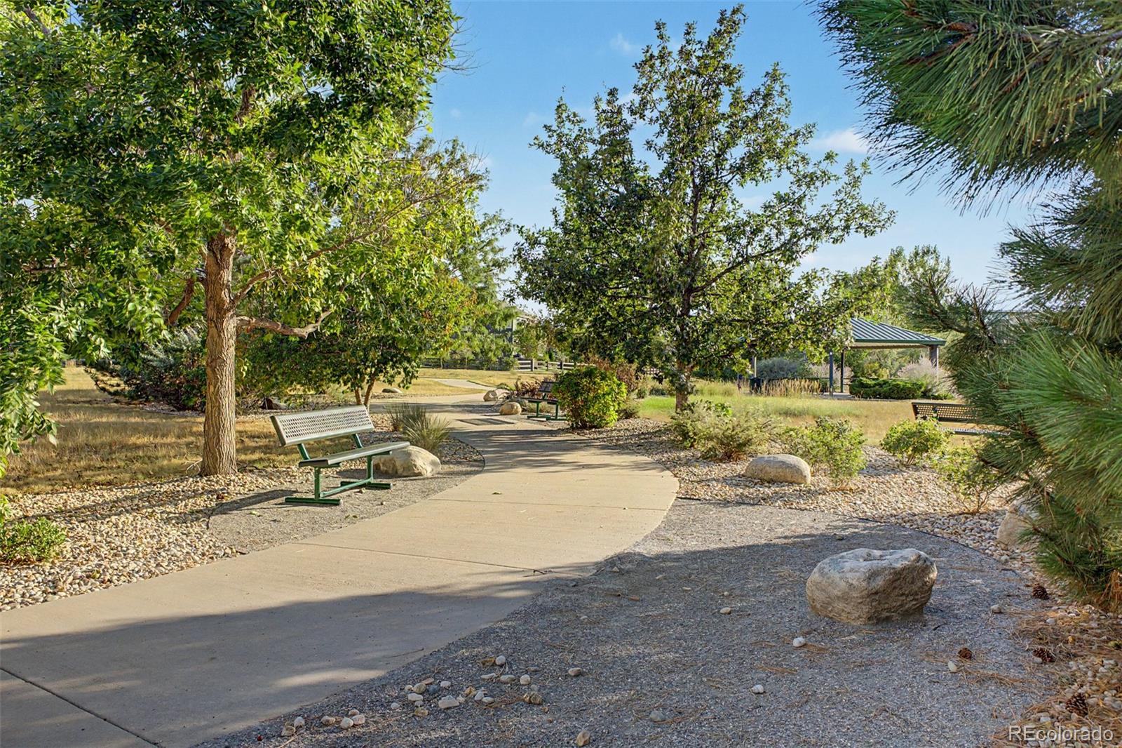 MLS Image #17 for 1181  mourning dove avenue,erie, Colorado