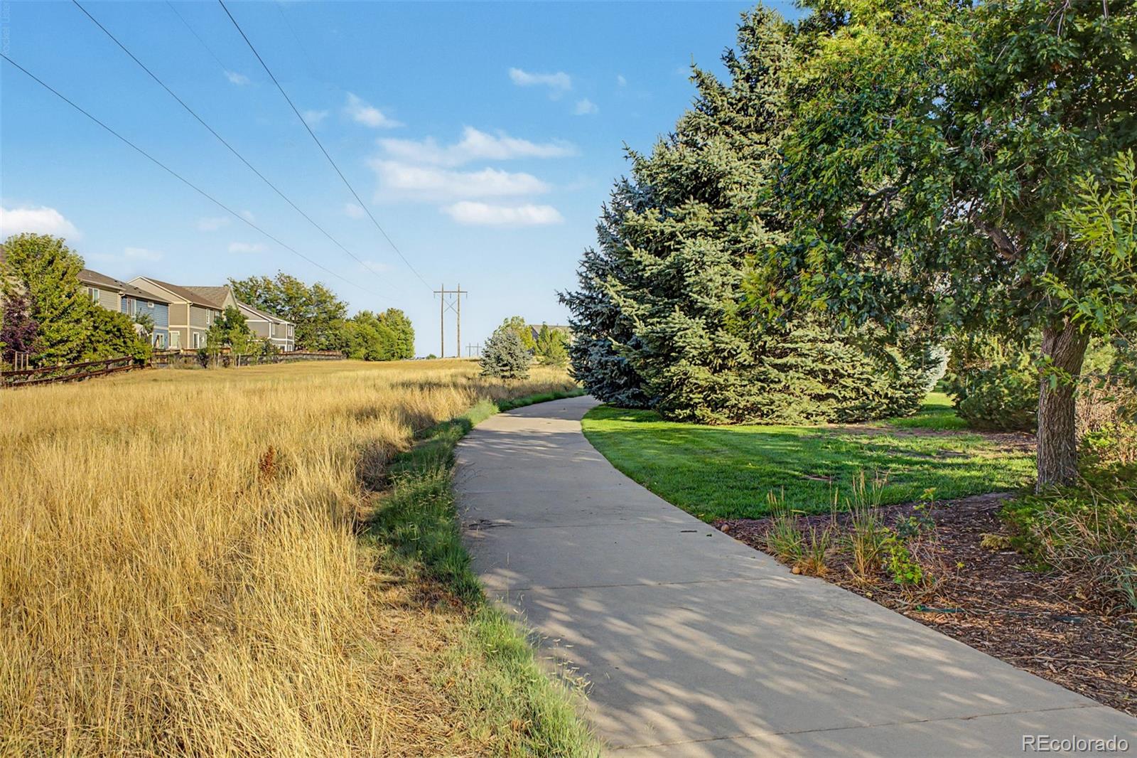 MLS Image #20 for 1181  mourning dove avenue,erie, Colorado