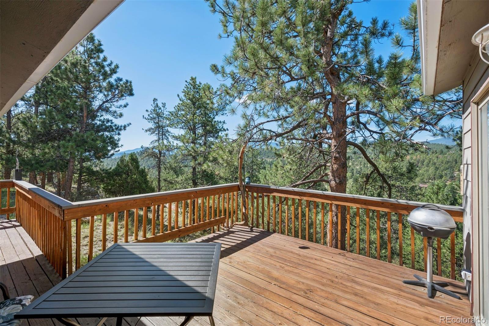 MLS Image #10 for 221  juniper lane,bailey, Colorado