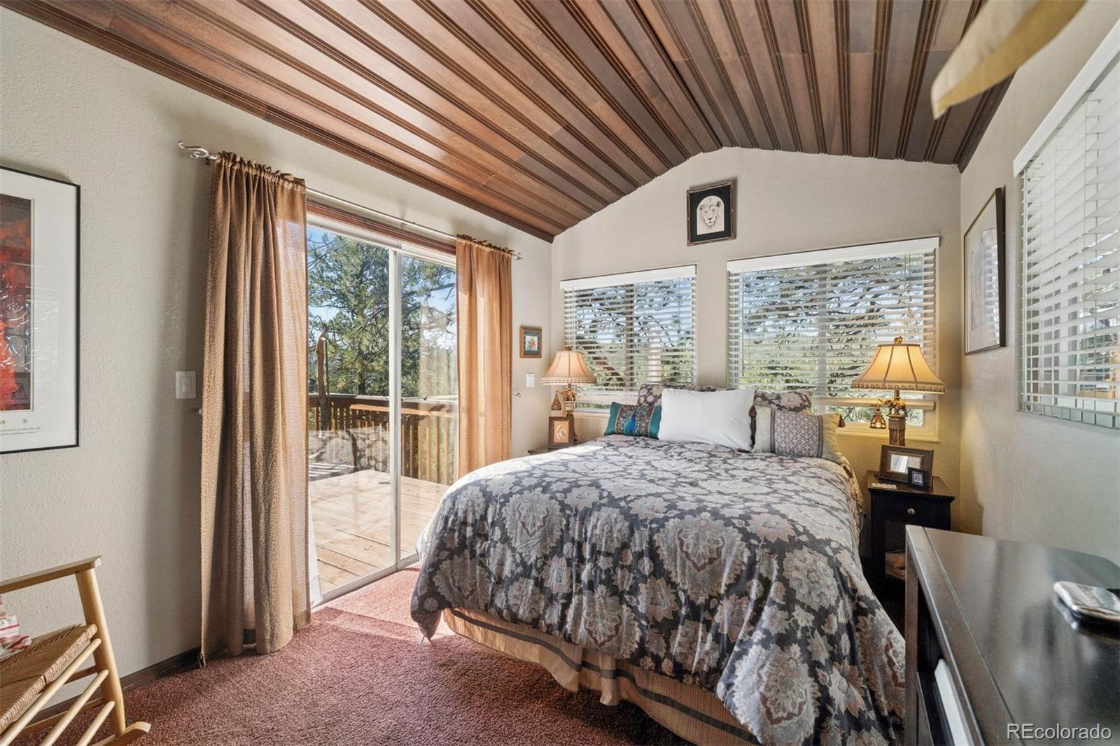 MLS Image #12 for 221  juniper lane,bailey, Colorado