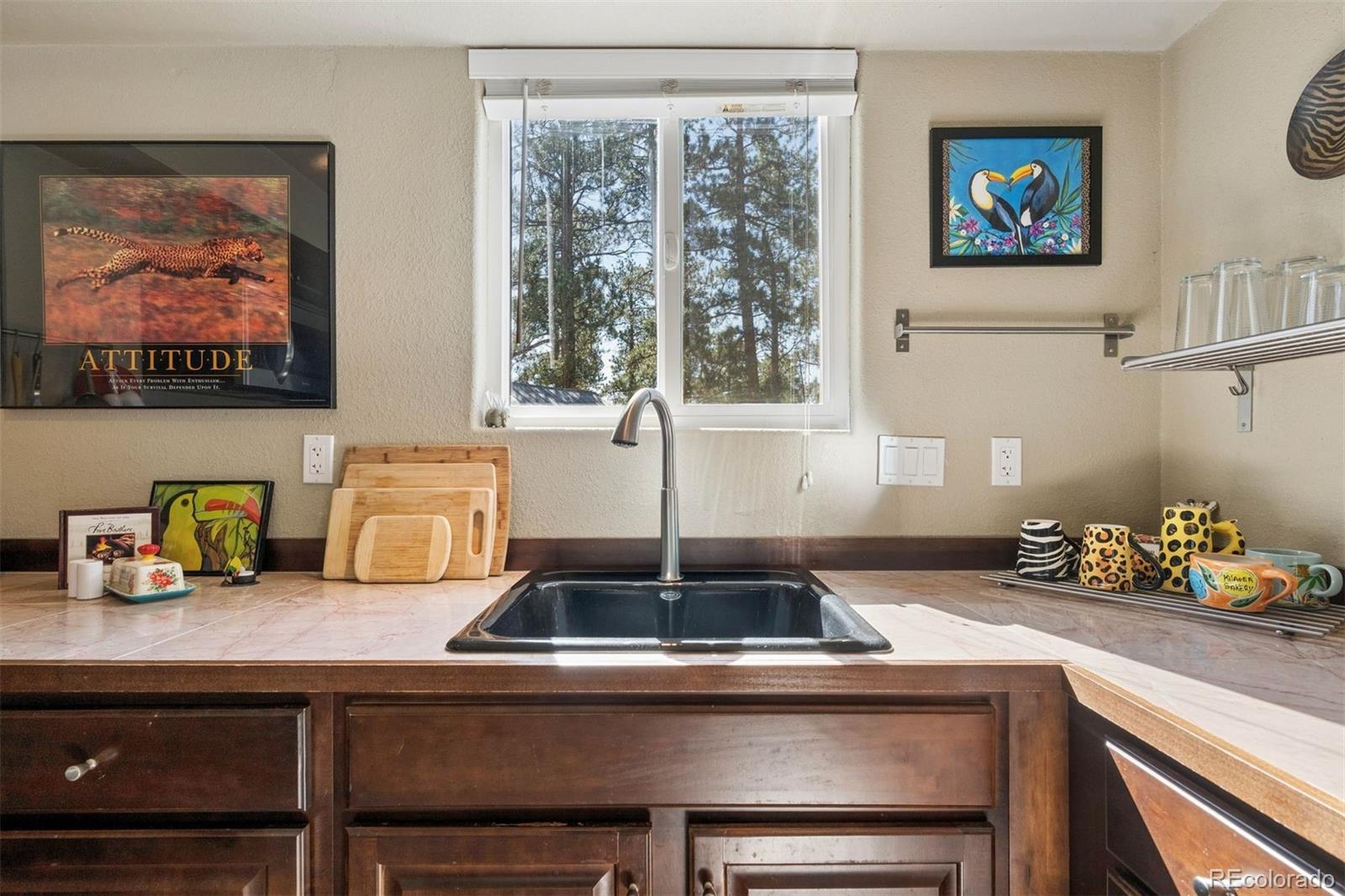 MLS Image #16 for 221  juniper lane,bailey, Colorado