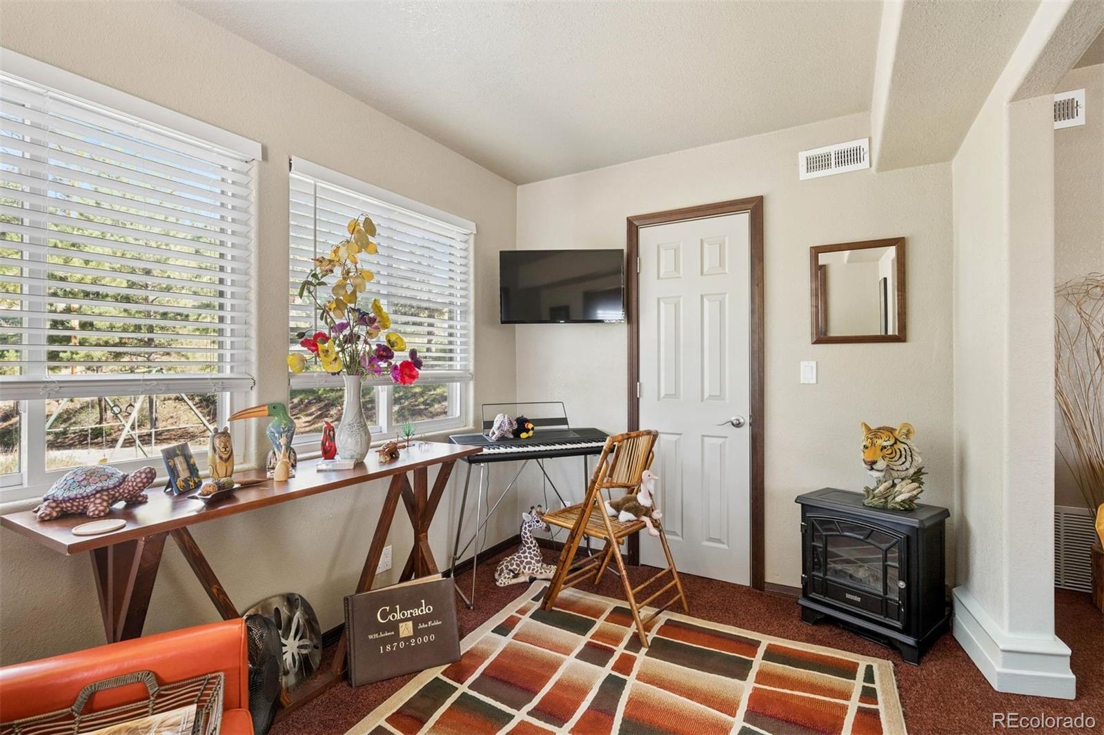 MLS Image #20 for 221  juniper lane,bailey, Colorado
