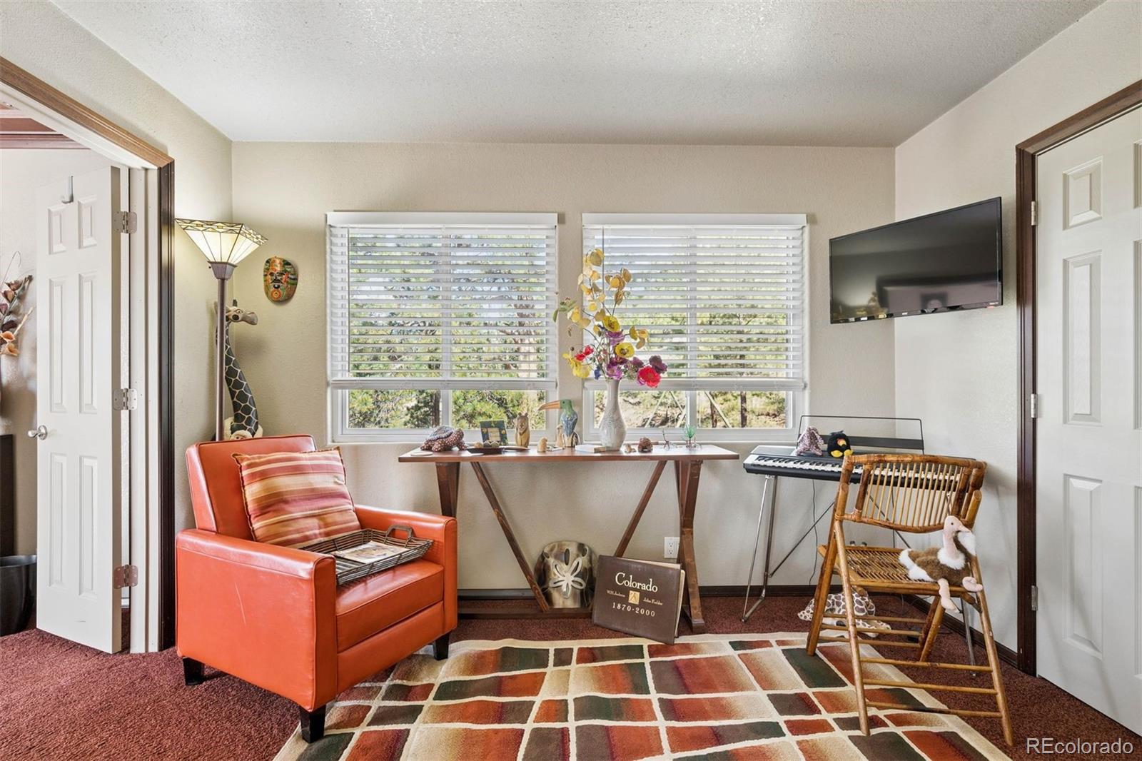 MLS Image #21 for 221  juniper lane,bailey, Colorado