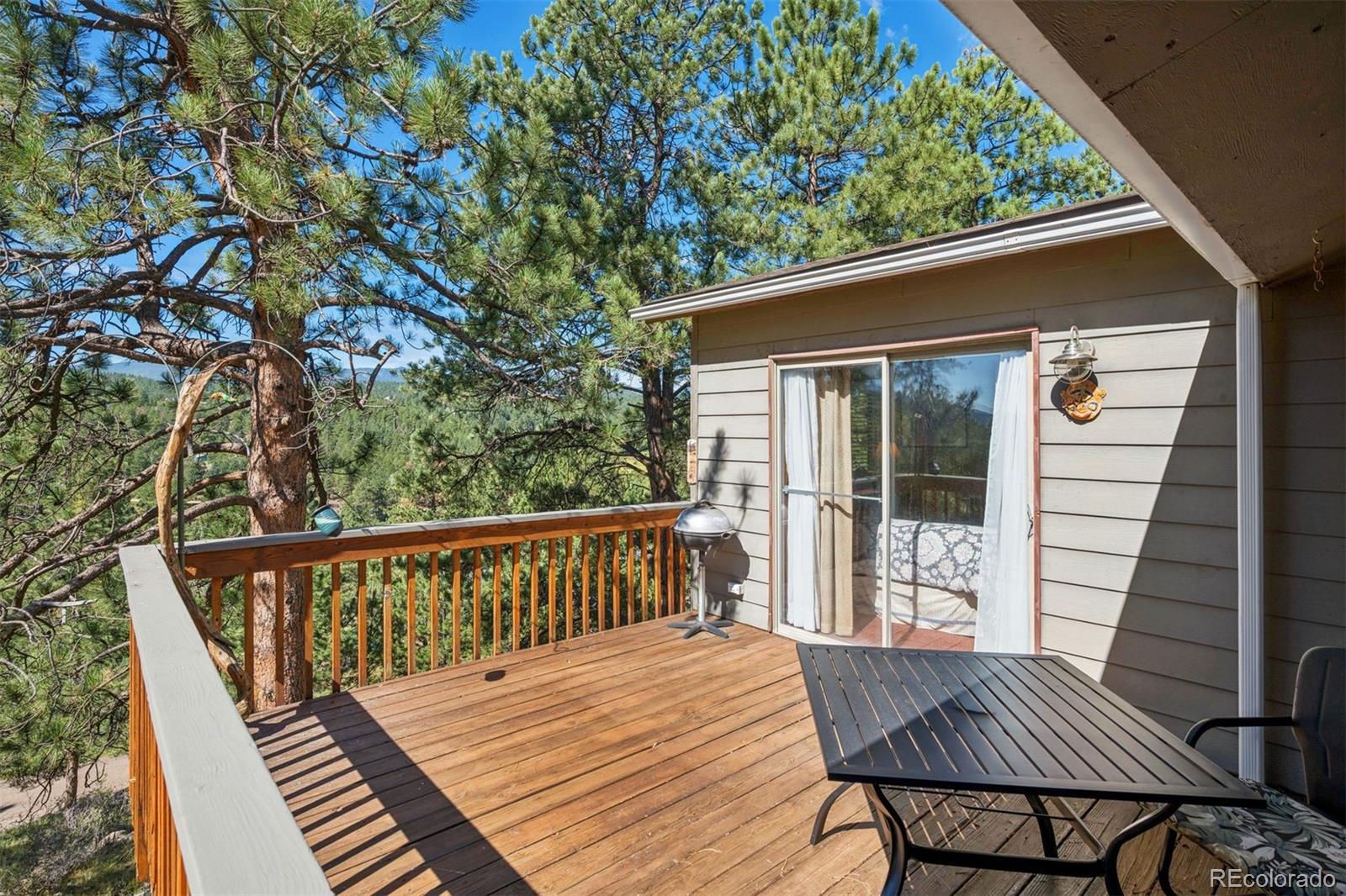 MLS Image #22 for 221  juniper lane,bailey, Colorado