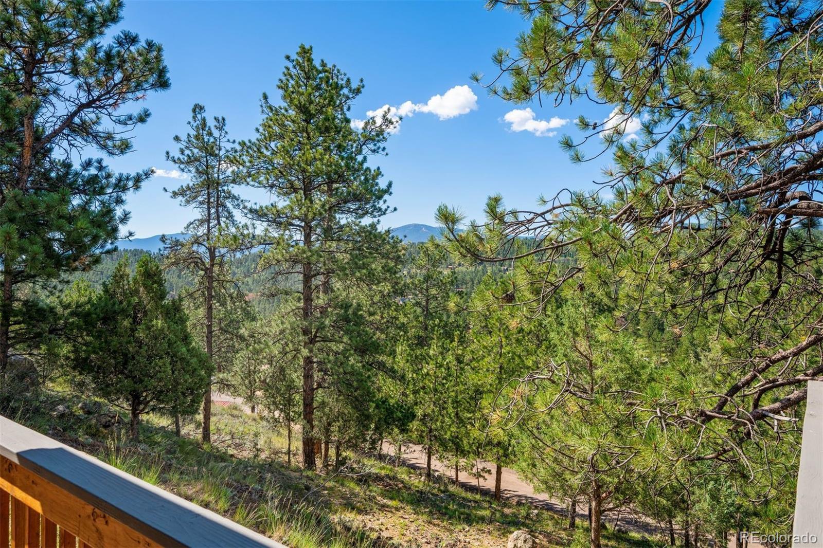 MLS Image #26 for 221  juniper lane,bailey, Colorado