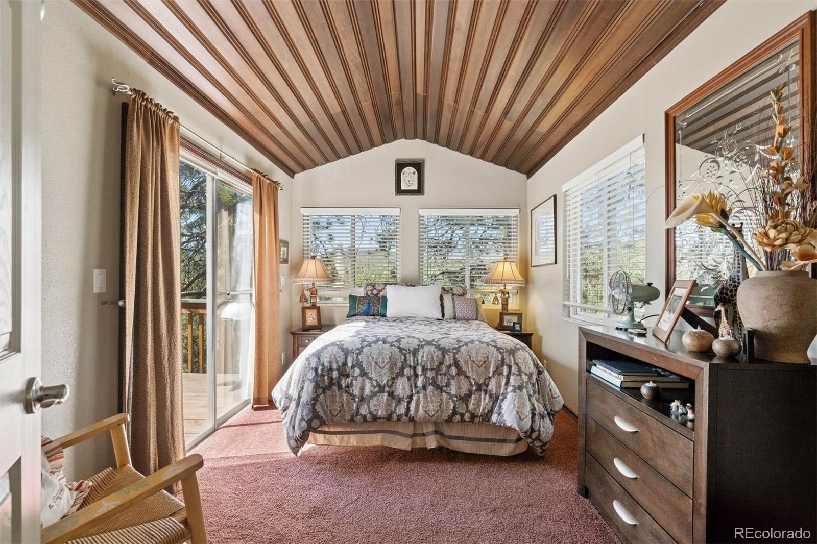 MLS Image #7 for 221  juniper lane,bailey, Colorado