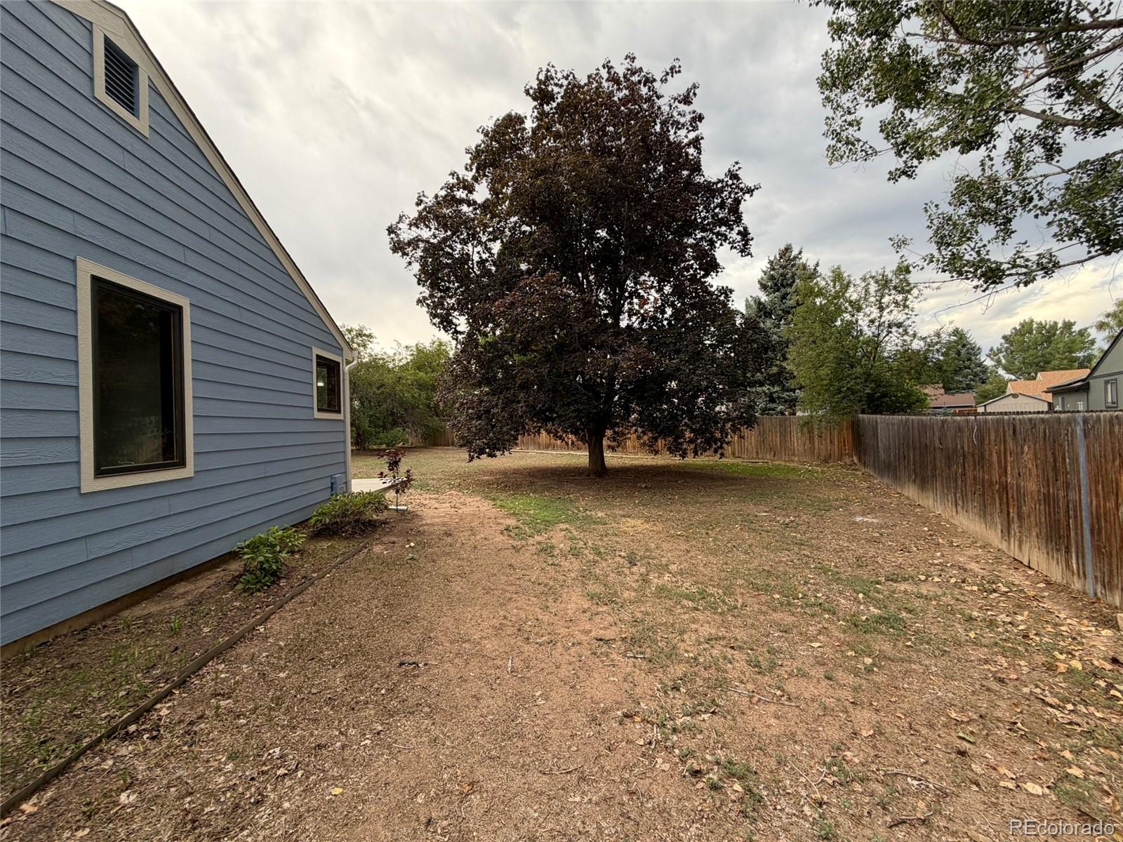 MLS Image #31 for 4449  hollyhock street,fort collins, Colorado
